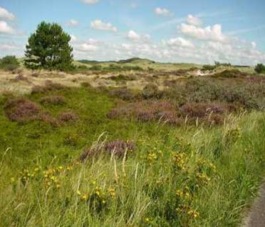 De afbeelding “http://www.bungalowparkdewesthoek.nl/images/schoorlseheide.jpg” kan niet worden weergegeven, omdat hij fouten bevat.